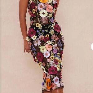 NWT Floral Embroidered Mesh Dress